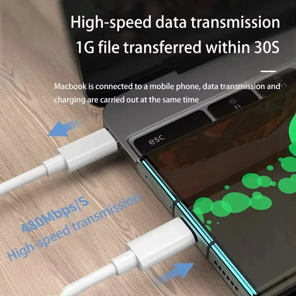 100W USB Type-C to Type-C Fast Charging Cable